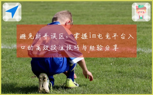 避免新手误区，掌握im电竞平台入口的高效投注技巧与经验分享